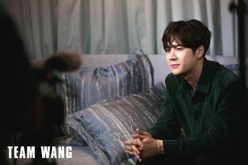 爆料阿飞王嘉尔视频,揭秘明星私下真实一面 第1张 爆料阿飞王嘉尔视频,揭秘明星私下真实一面 第1张